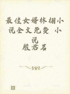 最佳女婿林栩小说全文免费 小说
